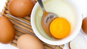 telur-untuk-masker.jpg