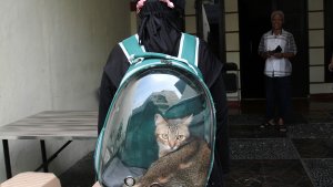 vaksinasi-rabies-gratis-untuk-hewan-peliharaan_20220914_185756.jpg