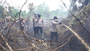 wakapolda-riau-pimpin-penanganan-karhutla.jpg