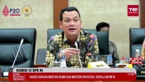 wakil-ketua-komisi-vi-dpr-ri-martin-manurung.jpg