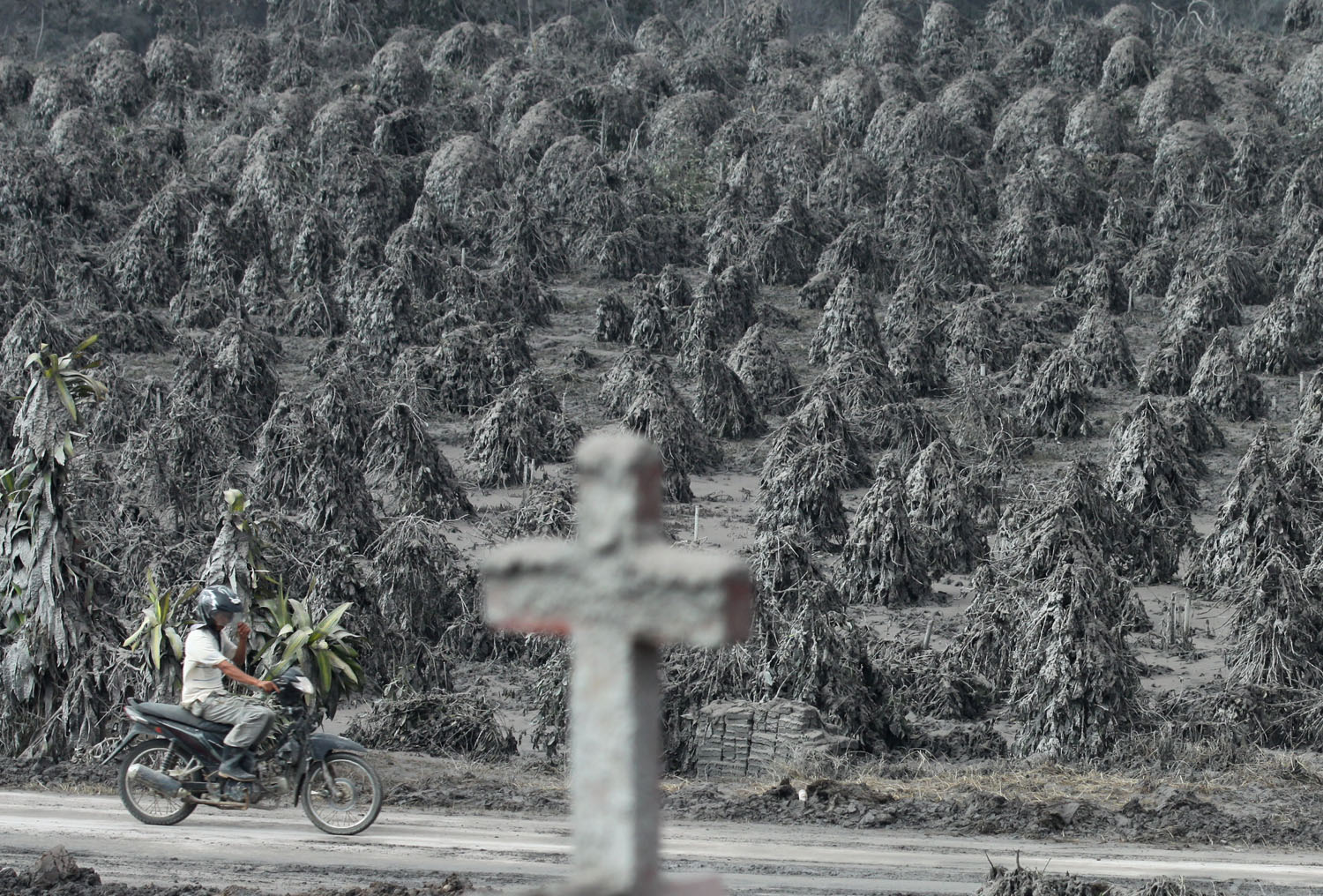 20140119_052703_tertutup-debu-vulkanik-gunung-sinabung.jpg
