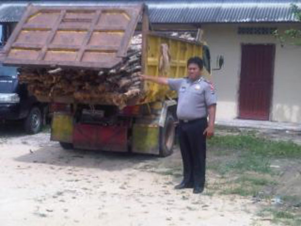 20140416_162148_truk-bermuatan-kayu.jpg