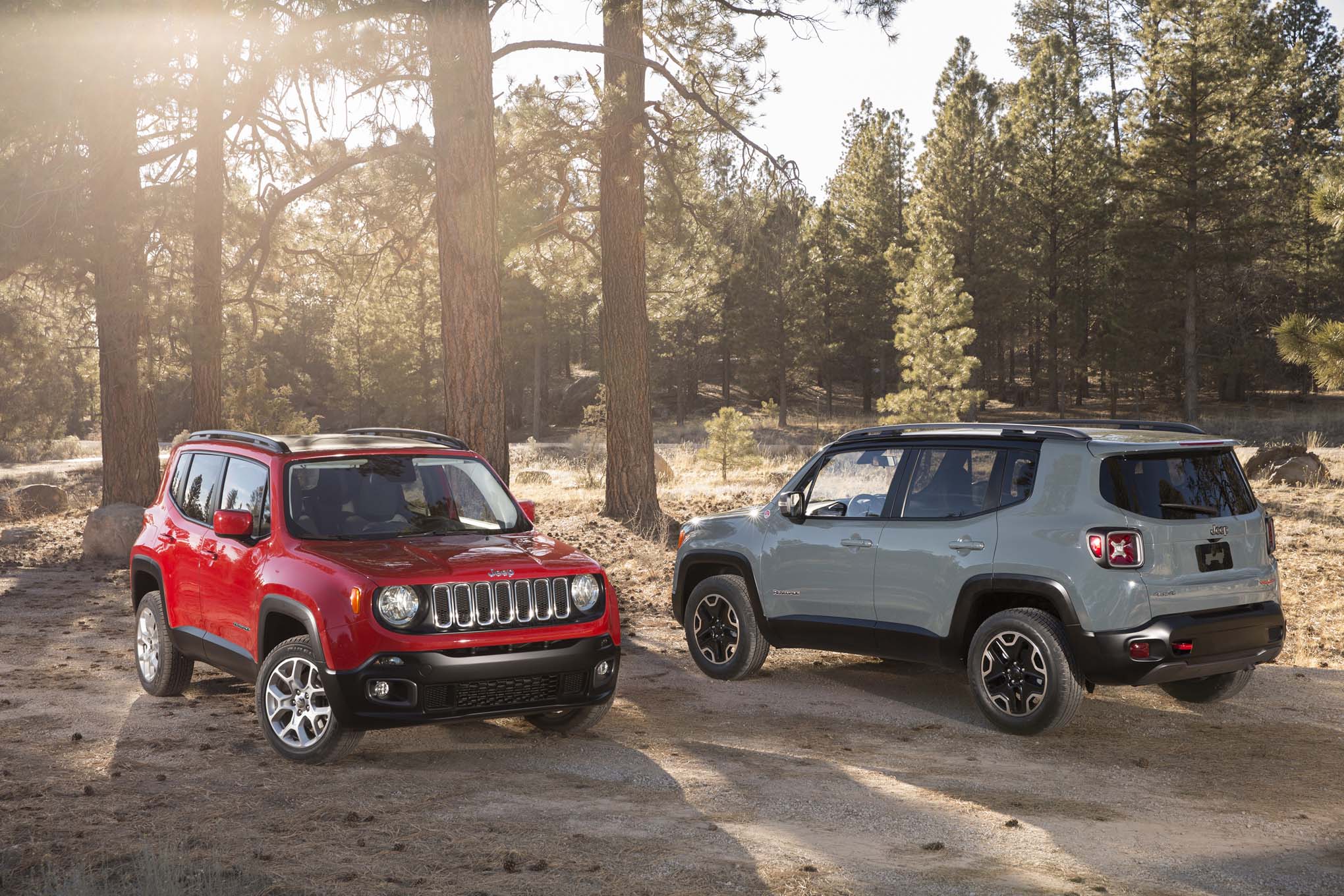 20140417_145620_jeep-renegade.jpg