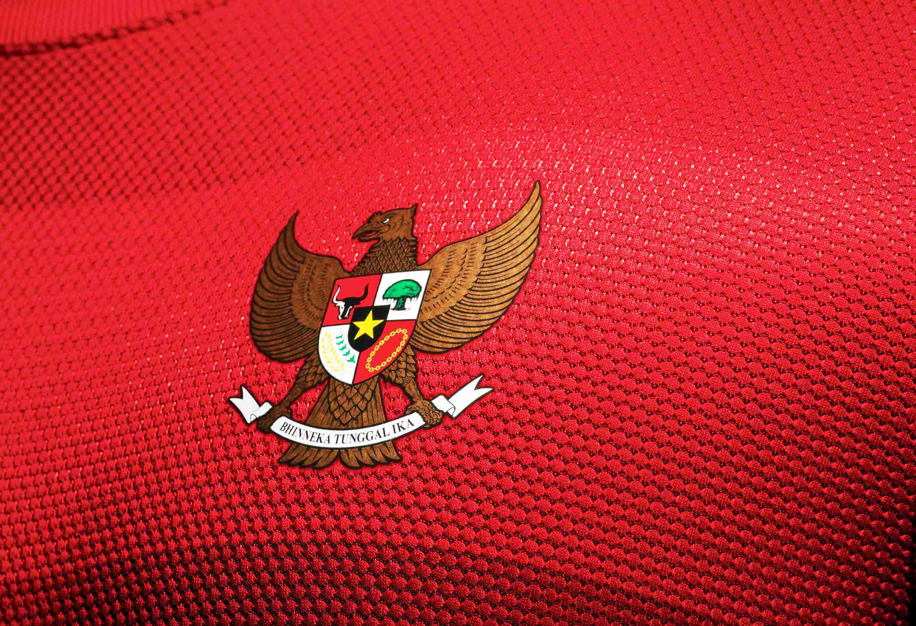 20140606_124458_logo-timnas-logo-garuda-logo-sepak-bola-logo-pssi.jpg