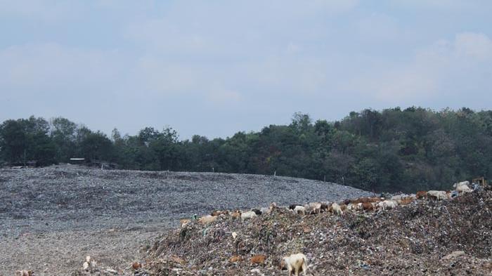 20140630_084144_sampah-piyun.jpg