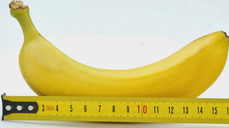 20140818_024019_penis-ilustrasi.jpg