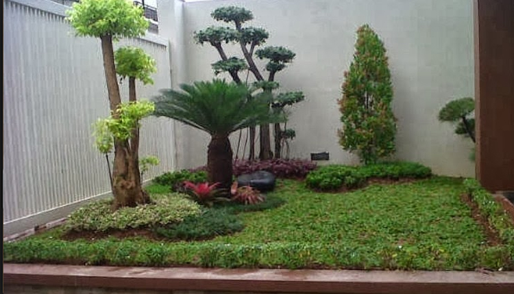 20140922_173732_taman-minimalis.jpg