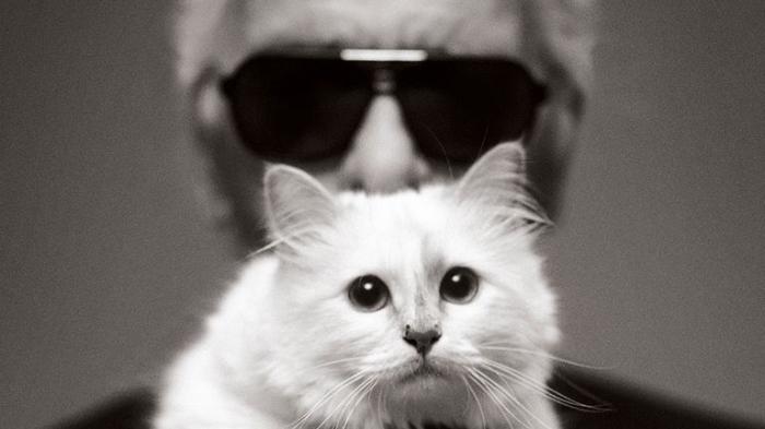 5-fakta-tentang-choupette-kucing-mendiang-karl-lagerfeld-yang-kini-menjadi-hewan-peliharaan-terkaya.jpg