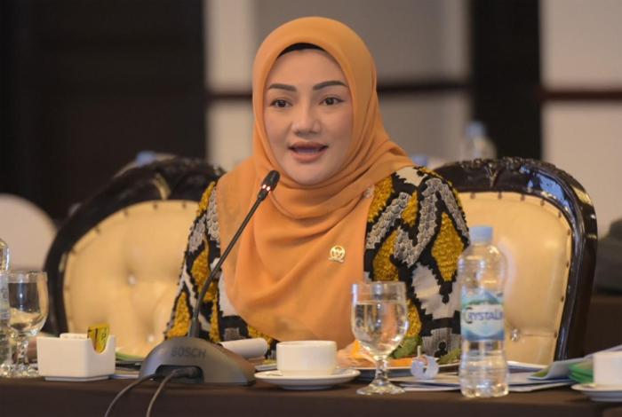RAPBN PENDIDIKAN 2026 - Anggota Komisi X dari Fraksi Golkar DPR RI, Adde Rosi Khoerunnisa saat rapat di kompleks parlemen Senayan, beberapa waktu lalu.