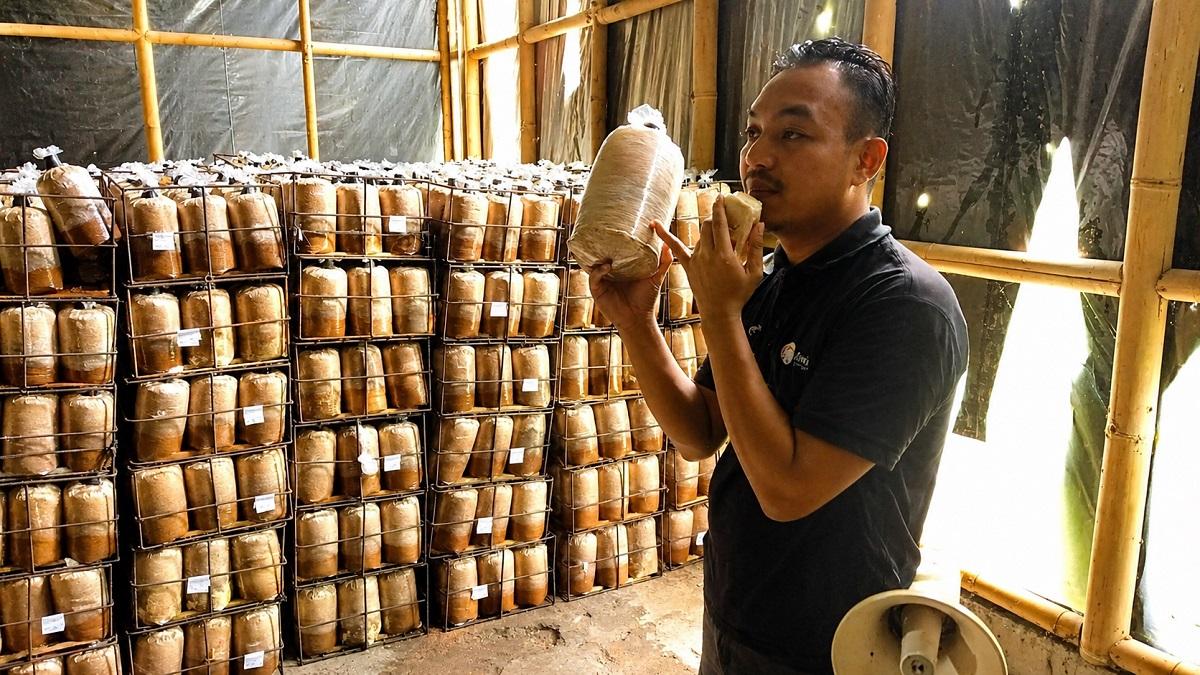 Ahmad-Arif-Nugroho-pemandu-di-Agrowisata-Jejamuran-Sleman.jpg