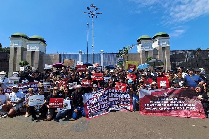 DMFI Dukung Pemprov DKI Terbitkan Pergub Larangan Perdagangan Daging Anjing dan Kucing