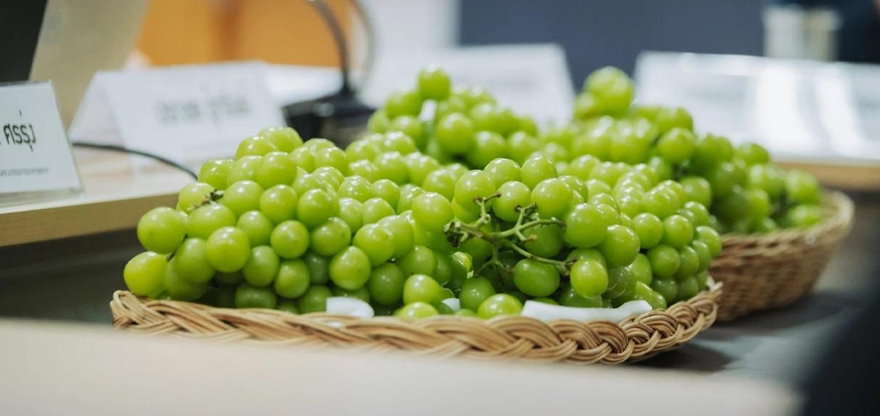 Anggur-shine-muscat-yang-diimpor-dari-China.jpg