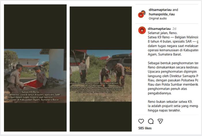 Kisah Reno Anjing K-9 Gugur saat Bantu Cari Korban Banjir di Agam, Dikubur dengan Upacara Kedinasan