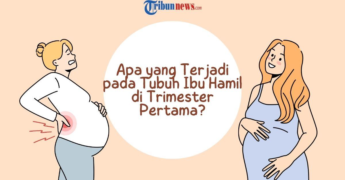 Apa-yang-Terjadi-pada-Tubuh-Ibu-Hamil-di-Trimester-Pertama.jpg