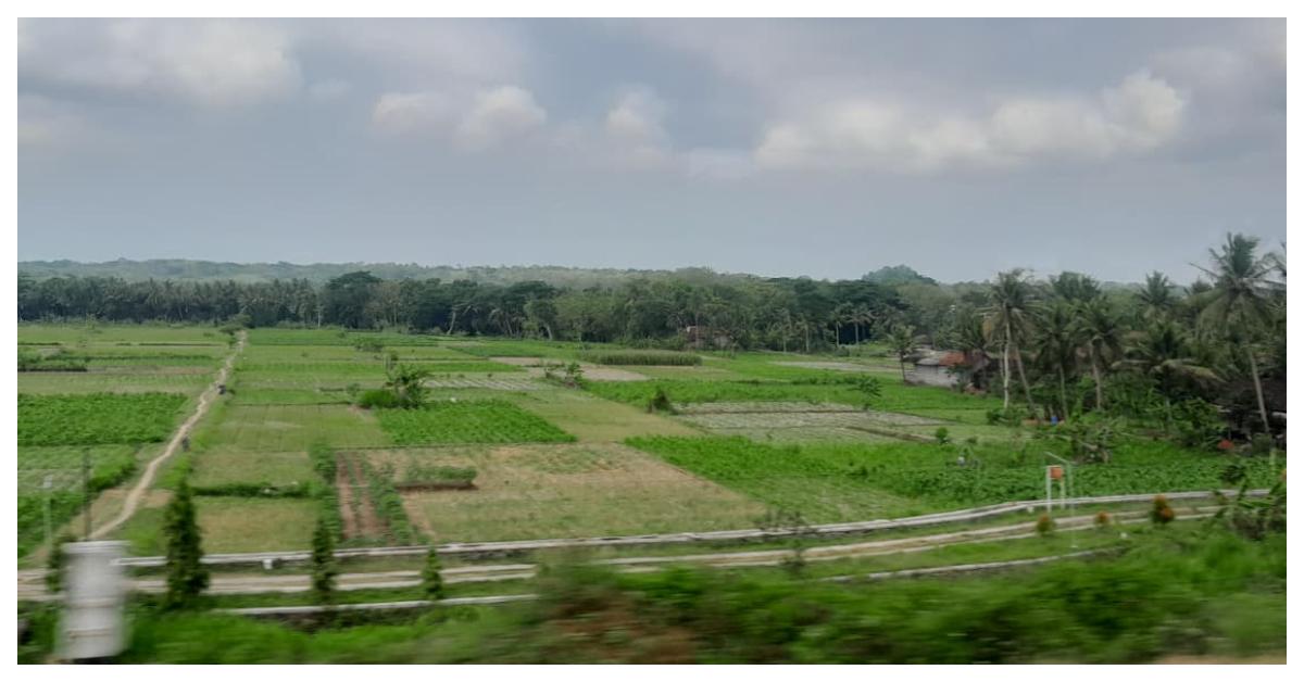 Prakiraan Cuaca di Kota Sorong Hari Ini, Jumat 29 Mei 2026, Klaurung dan Malaimsimsa Berawan