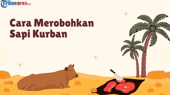 Cara-Merobohkan-Sapi-Kurban-yang-Benar-agar-Kepala-Menghadap-Kiblat.jpg