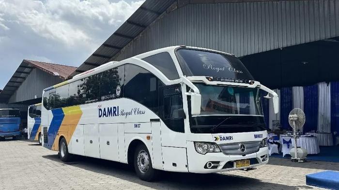 Promo DAMRI Rute Serang–Ciboleger Mulai Rp1, Cek Ketentuan dan Cara Bayarnya