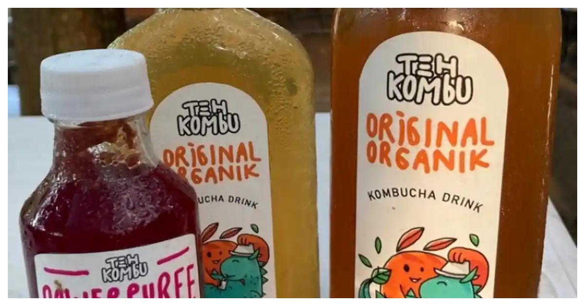 Ilustrasi-kombucha.jpg