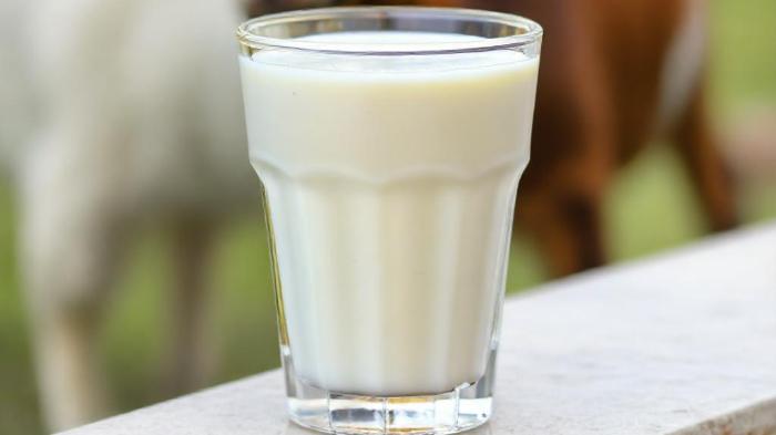 Ilustrasi-susu.jpg