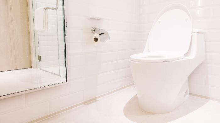 Ilustrasi-toilet-983127289asfd.jpg
