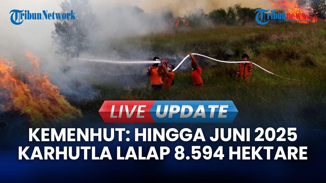 Karhutla di Indonesia Meluas 8.594 Hektare, Pemerintah Siapkan Langkah Taktis