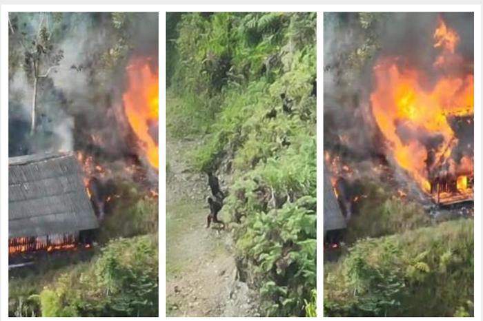 KKB-Bakar-SMP-di-Kiwirok-Papua-Pegunungan.jpg