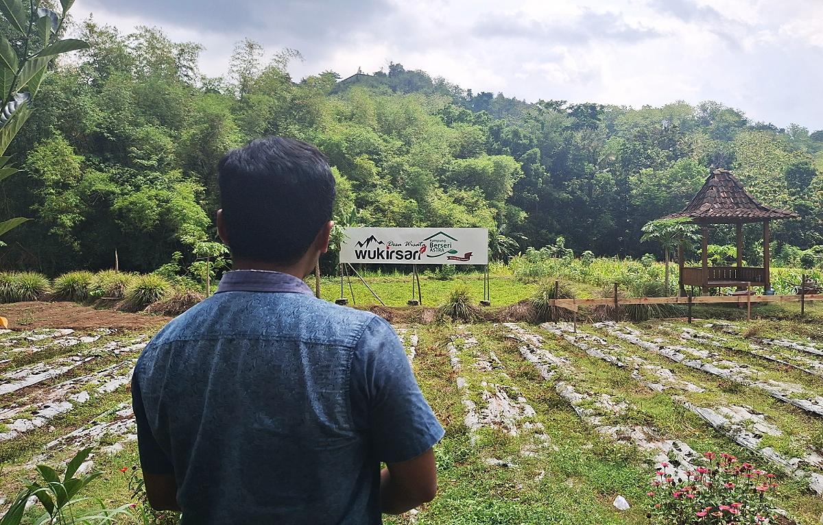 KAMPUNG BATIK WUKIRSARI - Hamparan hijau di Kampung Batik Giriloyo, Jalan Giriloyo, Wukirsari, Imogiri, Kabupaten Bantul, Daerah Istimewa Yogyakarta (DIY) (Tribunnews.com/Garudea Prabawati)