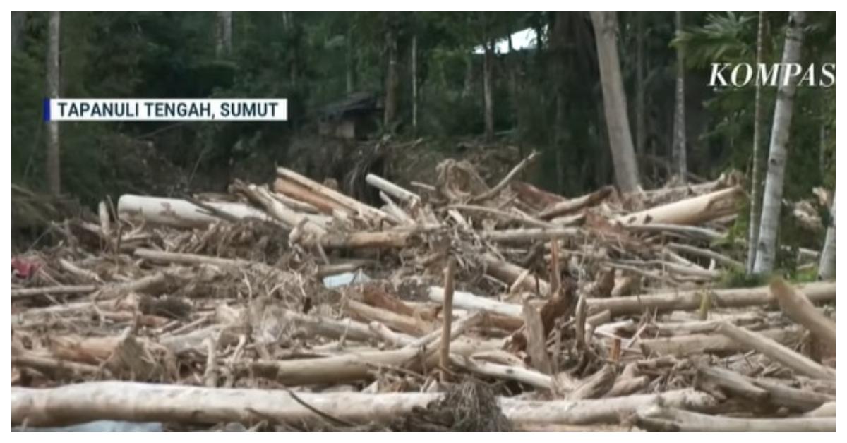 Pola Aneh Perusakan Hutan di Tapteng Sumut: Pohon Ditabrak Alat Berat, Masih Ada Akar