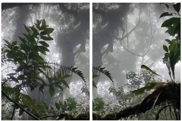 Sudah 4 Hari, Pendaki yang Hilang di Gunung Seulawah Agam Aceh Belum Ditemukan