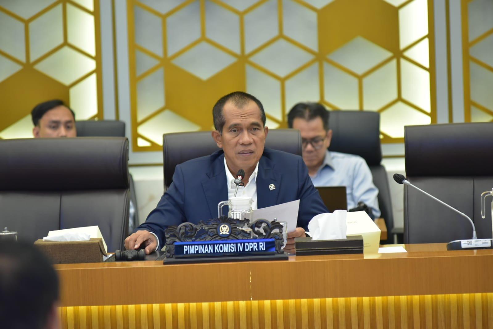 Komisi-IV-DPR-RI-Pastikan-Stok-Pangan-Jelang-Nataru-2025-Aman-Masyarakat-Tidak-Usah-Khawatir.jpg