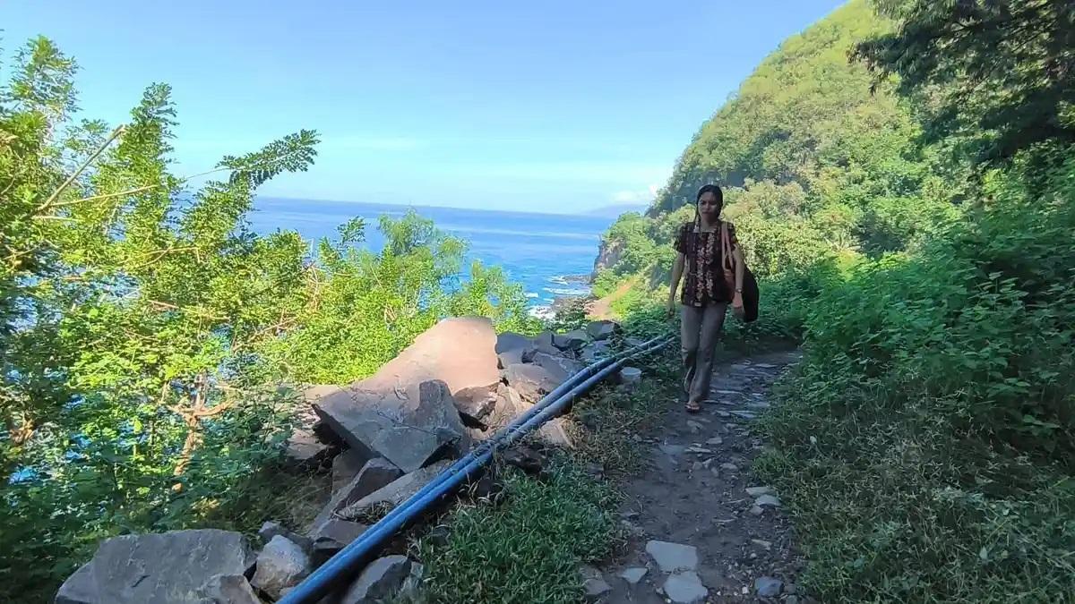 NASIB GURU HONORER DI SIKKA FLORES awdf2w3f