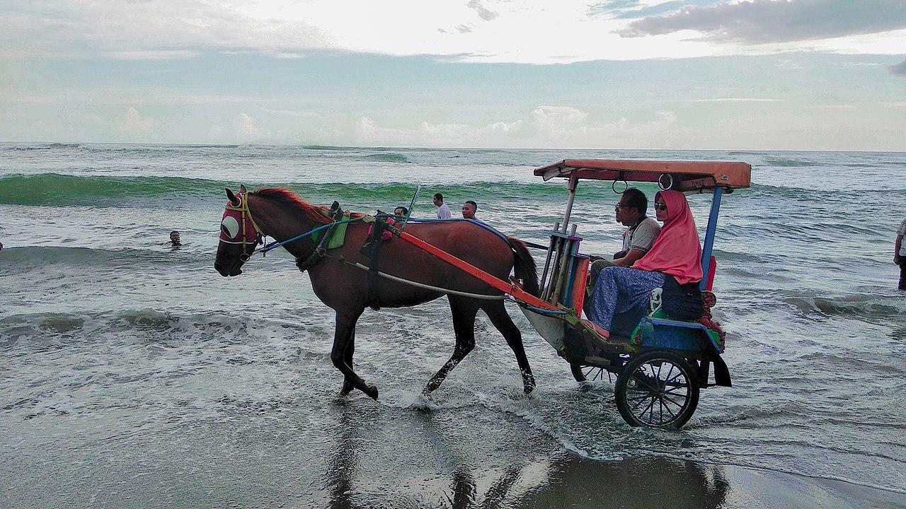 Pantai-Parangtritis-tetap-jadi-favorit-wisatawan-saat-liburan-akhir-tahun.jpg