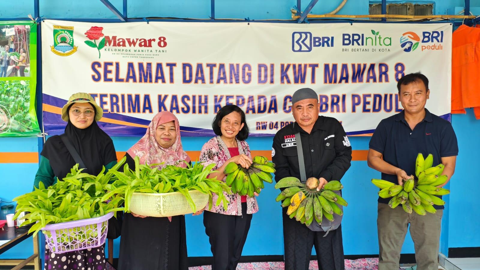 Modal YouTube dan CSR BRI, Ibu-ibu di Tangerang Sukses Raup Cuan dari Lahan Bekas Sarang Ular