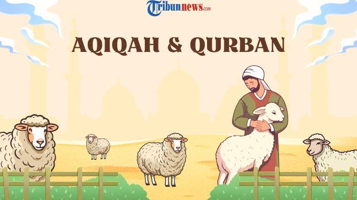Perbedaan-Ketentuan-Pembagian-Daging-Aqiqah-dan-Kurban.jpg