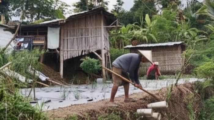 Warga Resah, Satu per Satu Kambing Siap Jual untuk Idul Adha di Banyumas Hilang Dicuri