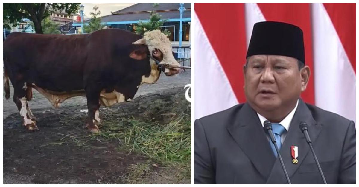 Prabowo-Subianto-memberikan-sapi-kurban-untuk-Masjid-Agung-Keraton-Solo.jpg