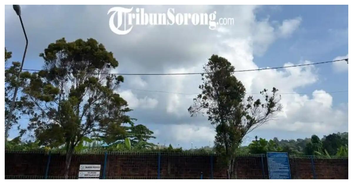 Prakiraan Cuaca Papua Jumat 24 April 2026: Kota Jayapura Berawan, Kepulauan Yapen Hujan