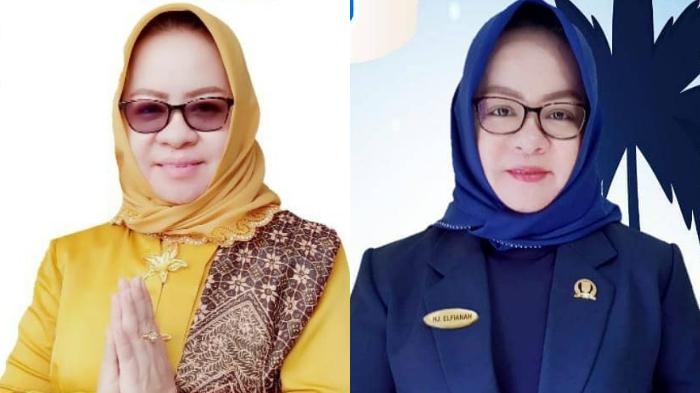Profil-Elfianah-Calon-Bupati-Mesuji-Viral-Janjikan-Pemilihnya-Masuk-Surga-Punya-Harta-Rp102-M.jpg