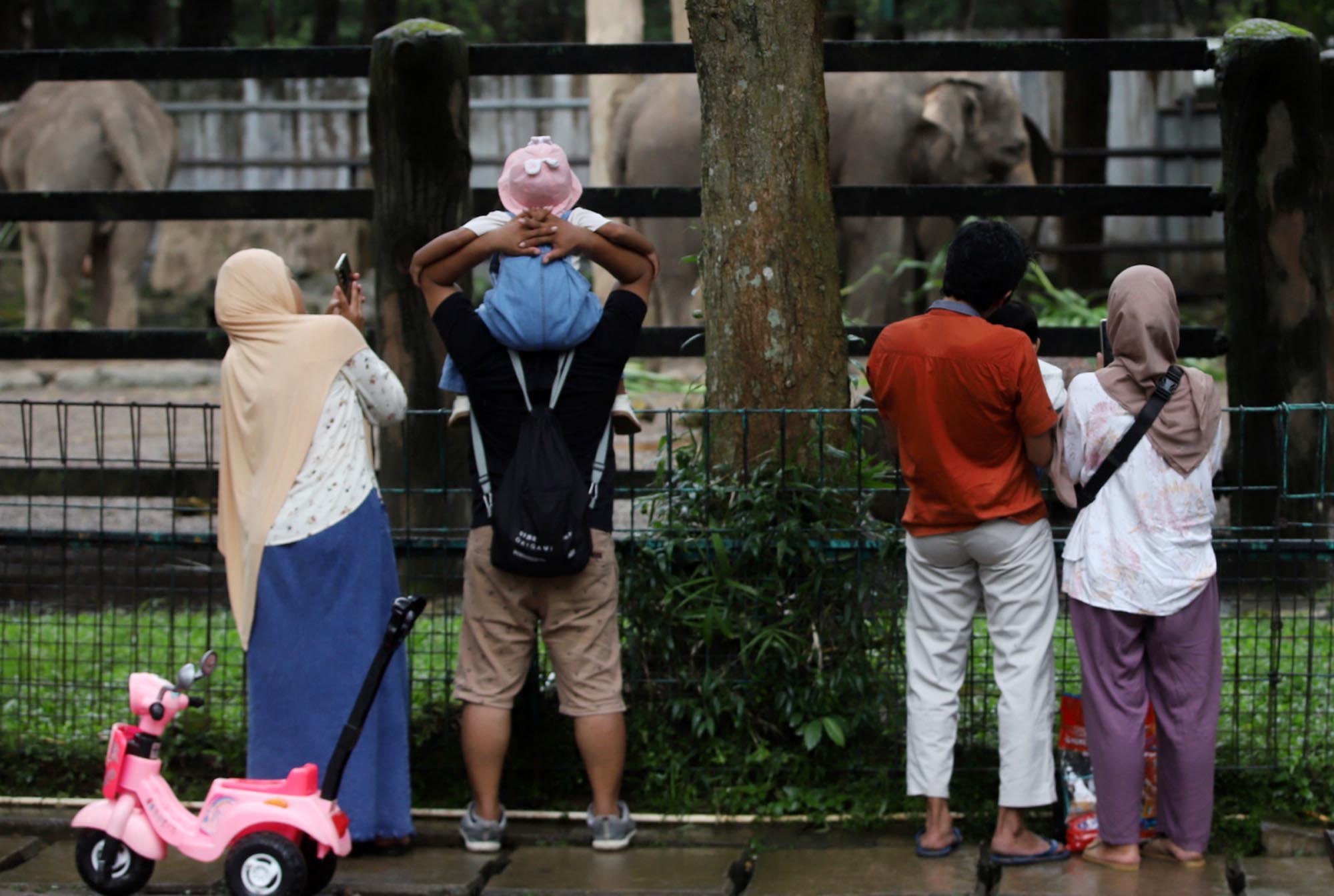 Ragunan-Diserbu-Warga-Jakarta-Saat-Libur-Nataru_20260104_180824.jpg