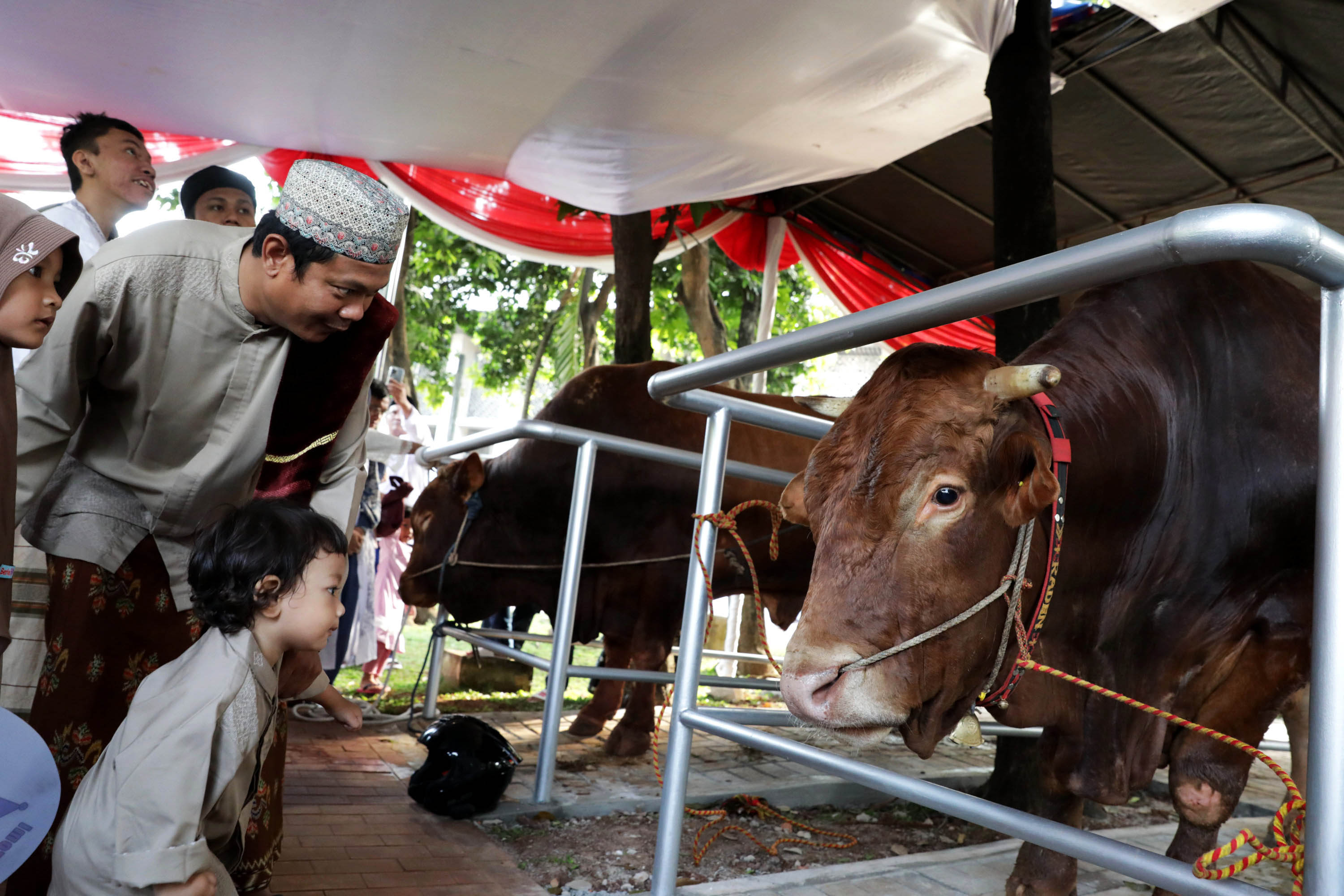 Tempat Terbaik Untuk Menyembelih Hewan Kurban Idul Adha