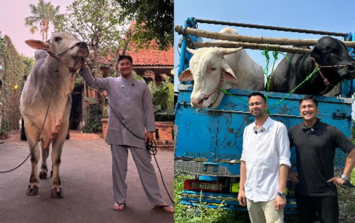 Sapi-irfan-hakim.jpg