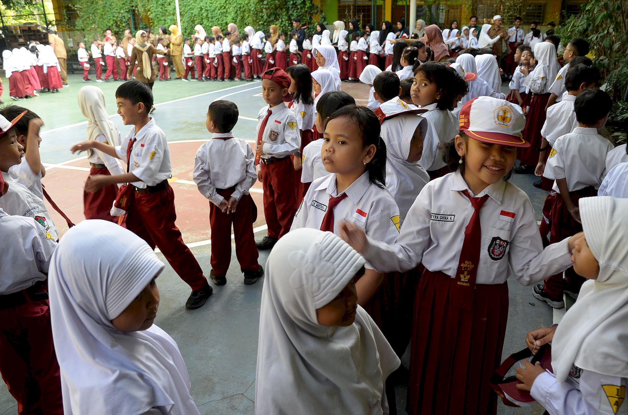 Kunci Jawaban IPAS Kelas 3 SD/MI Kurikulum Merdeka Hal 82 Edisi Revisi: Siklus Hidup Tanaman Tomat