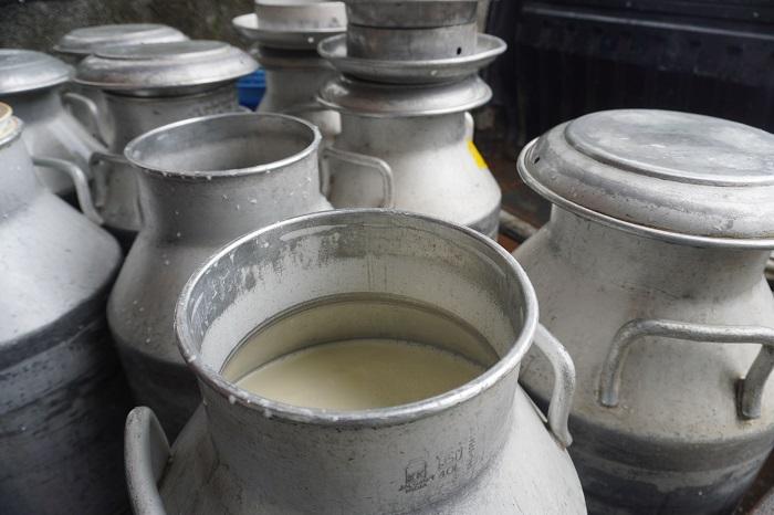 Daftar Makanan Tinggi Kalsium yang Mudah Didapatkan