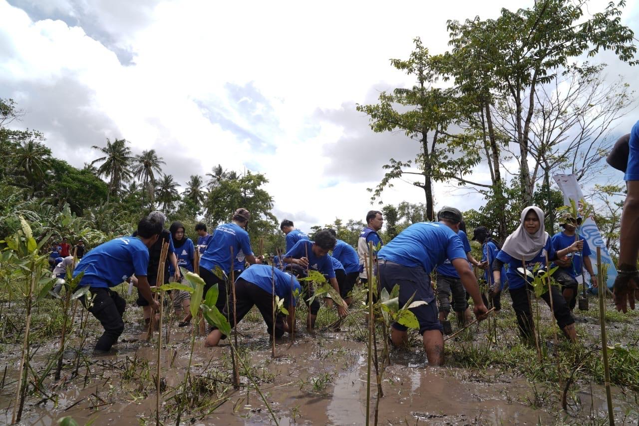 Cegah Abrasi dan Perubahan Iklim, Mangrove Ditanam di Ujung Kulon Pandeglang Banten