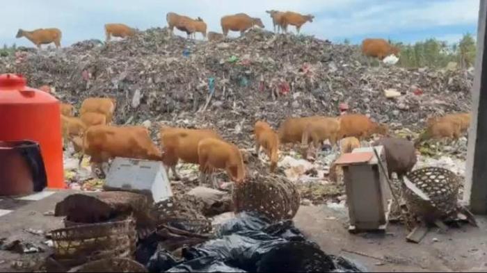 Ribuan Ton Sampah Menggunung di Gili Trawangan NTB, KKP Tunggu Izin Operasional Insinerator