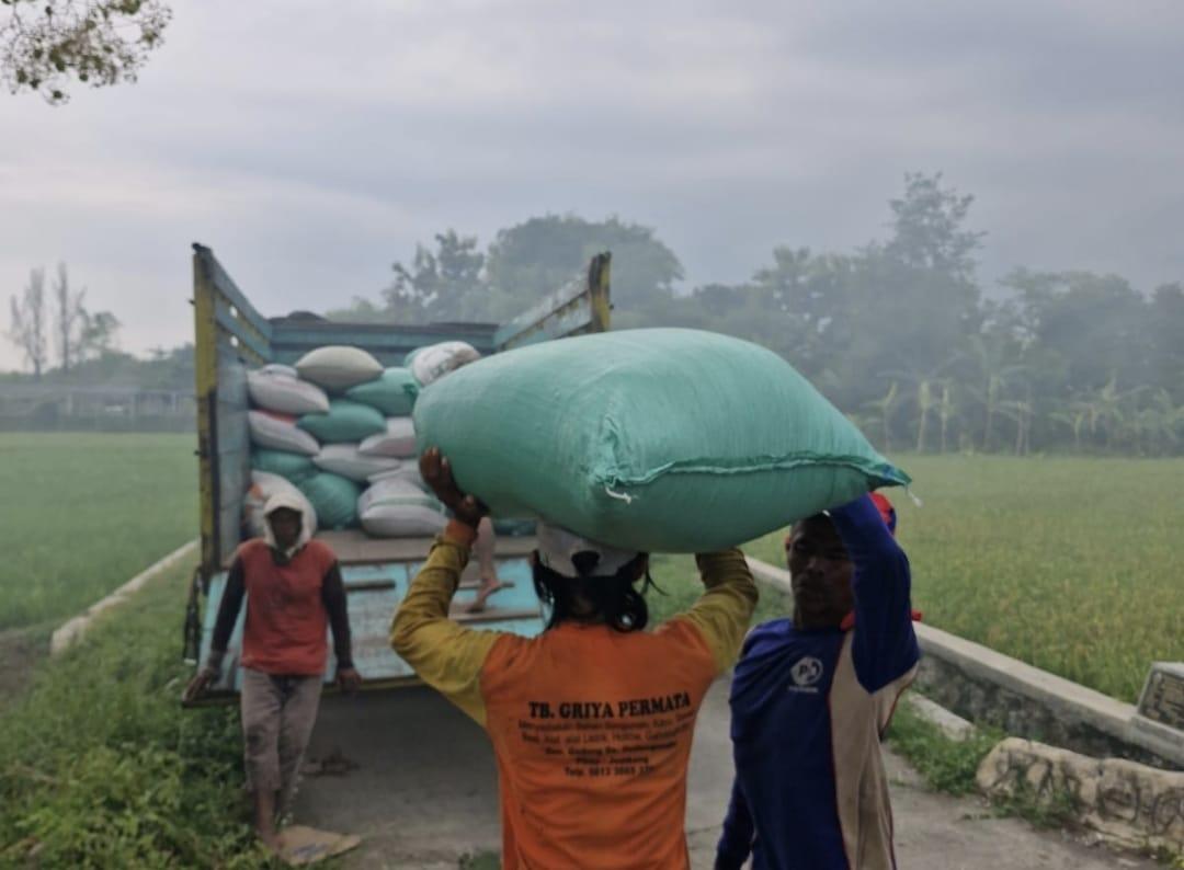 Tidak-libur-BULOG-terus-memastikan-penyerapan-Gabah-dan-Beras-berjalan-dengan-baik.jpg