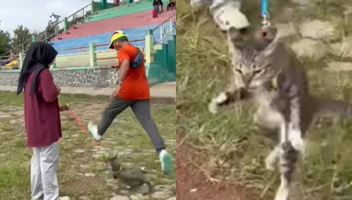Video-Viral-Pria-Tendang-Kucing-hingga-Mati-di-Blora-Pelaku-Diduga-Orang-Penting.jpg