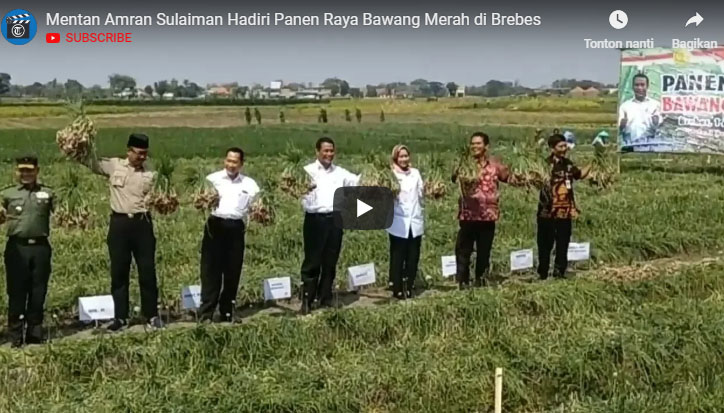 amran-sulaiman-hadiri-panen-raya-bawang-merah-di-brebes_20180802_123156.jpg