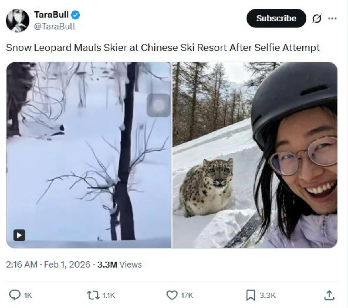 VIRAL - Tangkap layar foto selfie detik-detik sebelum seorang wanita diterkam macan tutup salju.