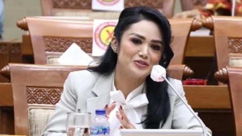 anggota-komisi-ix-dpr-ri-krisdayanti.jpg